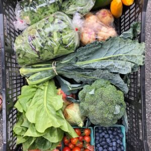 Single Harvest Box